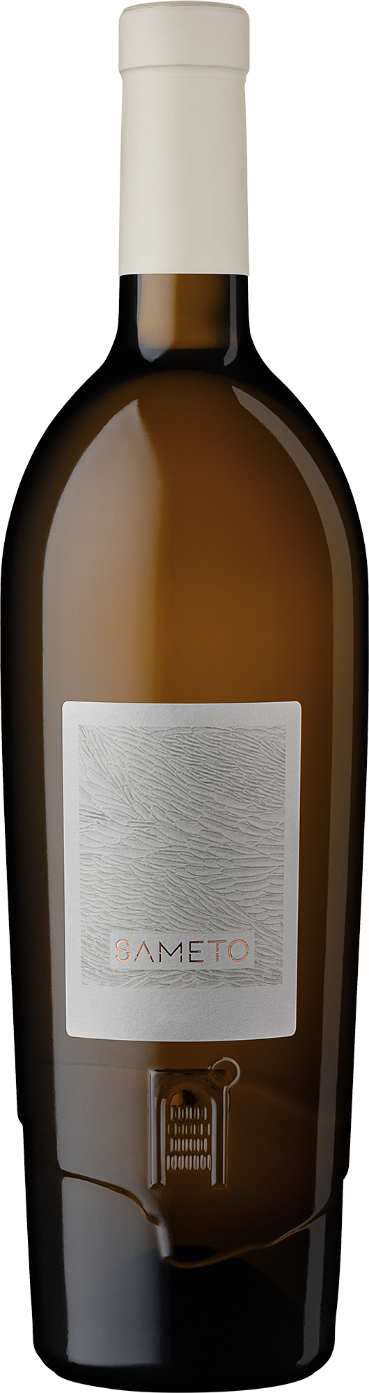 Sameto Chardonnay Salento IGP